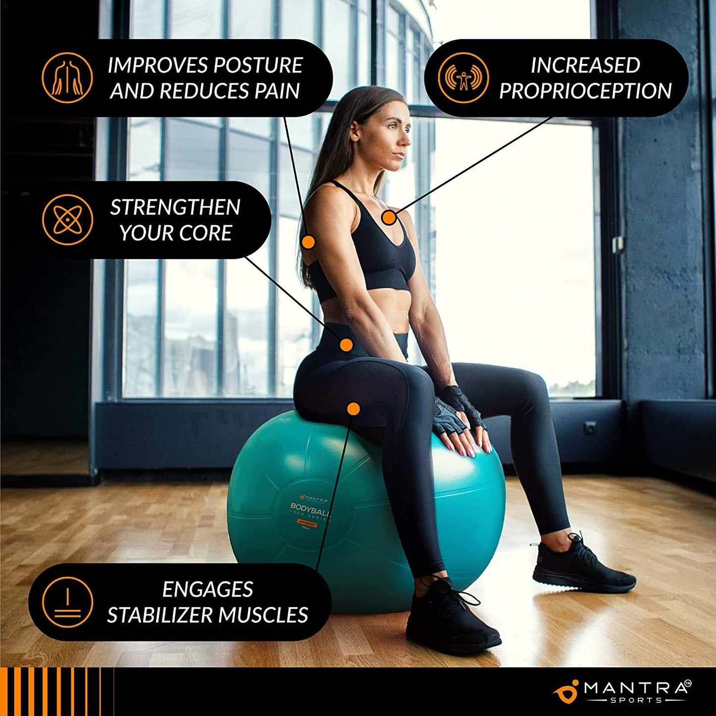 Professional Exercise Ball Chair for Fitness, Stability, Pilates, Pregnancy, and Therapy - Available in 55Cm, 65Cm, and 75Cm - Extra Thick, Anti-Burst, Non-Slip Gym Quality Balance Ball with Pump and Guide