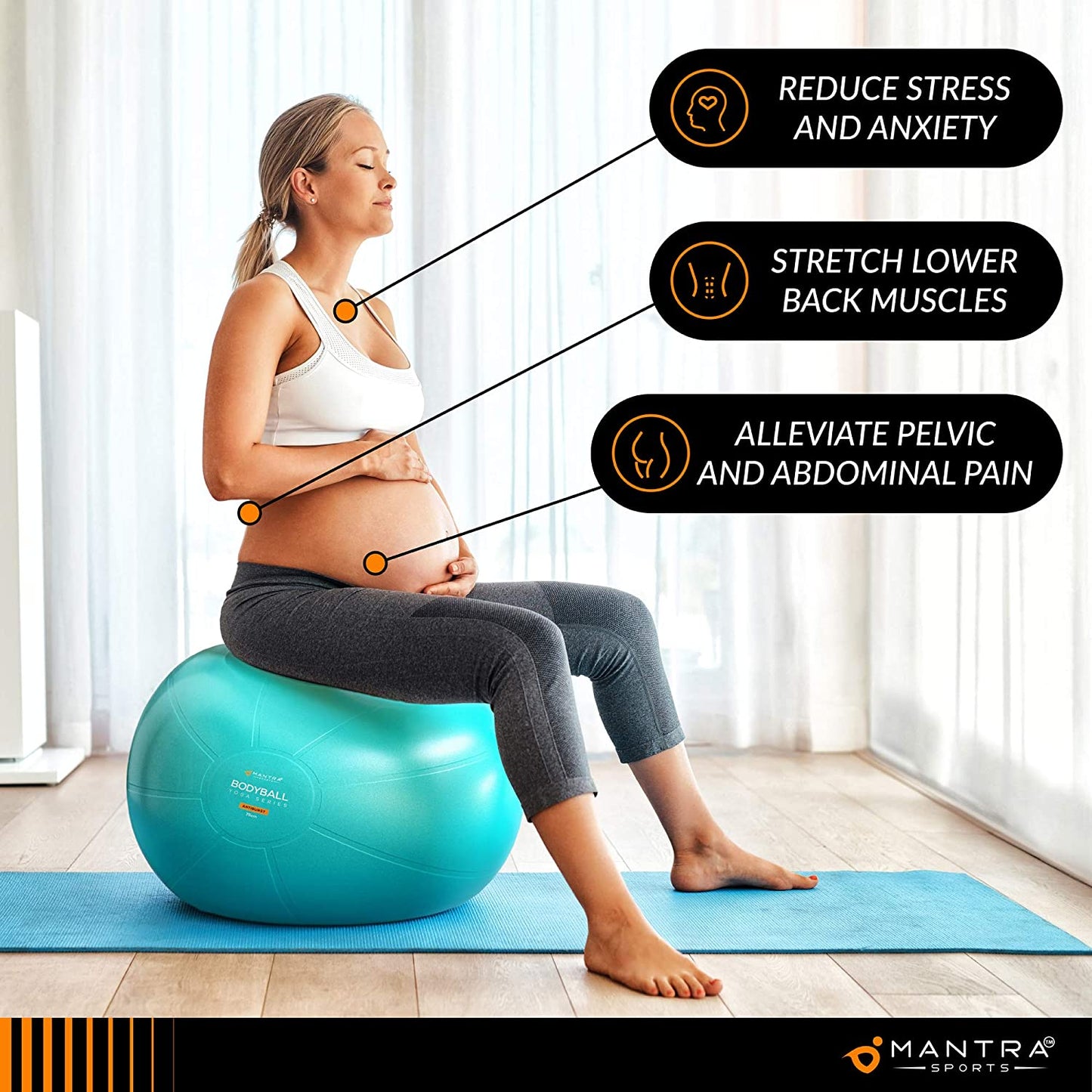 Professional Exercise Ball Chair for Fitness, Stability, Pilates, Pregnancy, and Therapy - Available in 55Cm, 65Cm, and 75Cm - Extra Thick, Anti-Burst, Non-Slip Gym Quality Balance Ball with Pump and Guide