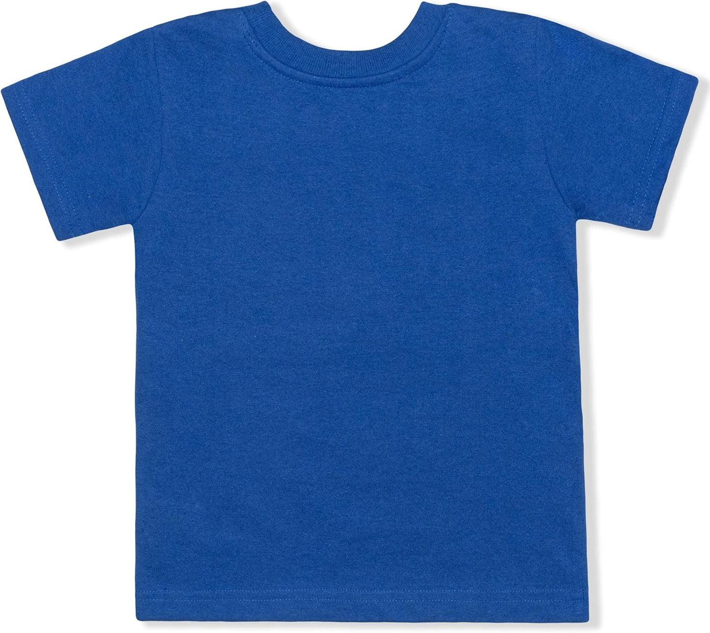 . Scooby Doo 2 Pieces T-Shirt and Short Set for Toddler Boys and Little Boys – Blue/Grey