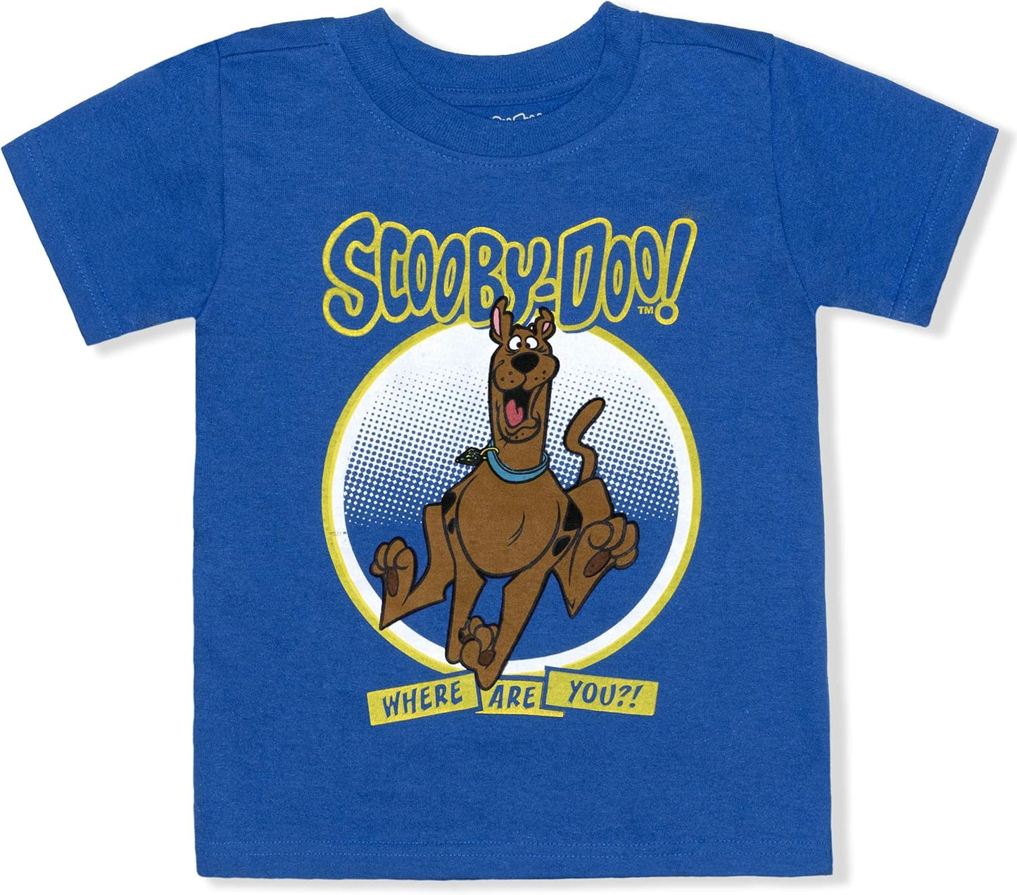 . Scooby Doo 2 Pieces T-Shirt and Short Set for Toddler Boys and Little Boys – Blue/Grey