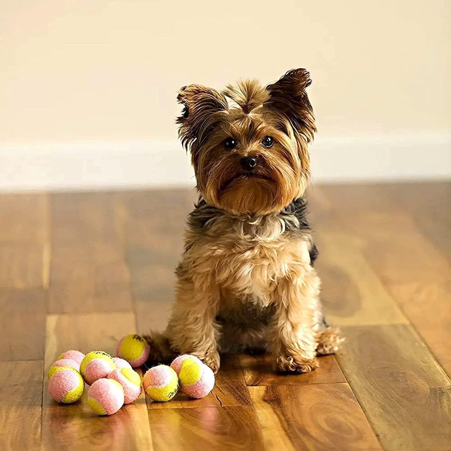 X-Small Dog Tennis Balls 1.5" - Pack of 12 Mini Fetch Balls in Yellow and Pink for Puppies